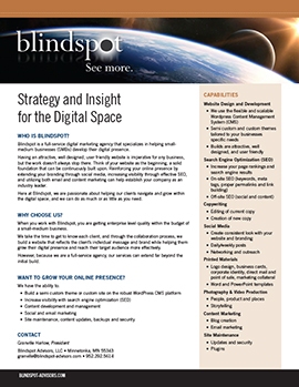 COMPANY OVERVIEW